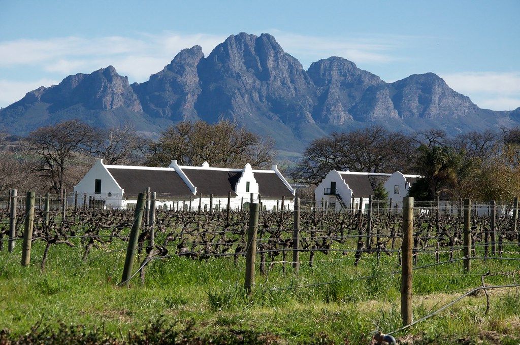 Cape Dutch farmhouse among vineyards below the Franschhoek mountains